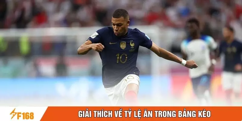Giải thích về tỷ lệ ăn trong bảng kèo