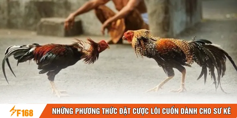Những phương thức đặt cược lôi cuốn dành cho sư kê